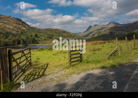 Le célèbre monument de Blea Tarn regardant vers la The Langdales dans le Parc National de Lake District. Banque D'Images