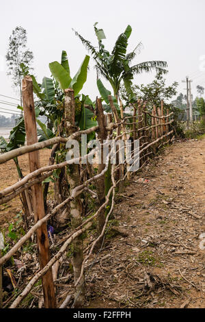 Une clôture en bambou du Vietnam, Phong Nha. Banque D'Images