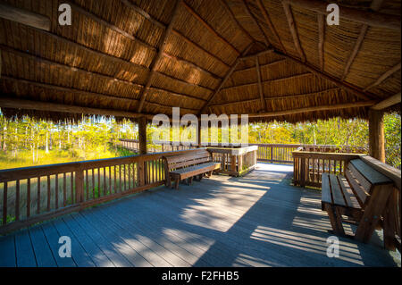 Des bancs vides sur un pont dans une forêt, Kirby Storter, parc en bordure de Ochopee, Collier County, Floride, États-Unis Banque D'Images