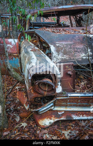 Junked voiture ancienne abandonnée dans les bois au Providence Canyon State Park à Lumpkin, Géorgie. (ÉTATS-UNIS) Banque D'Images