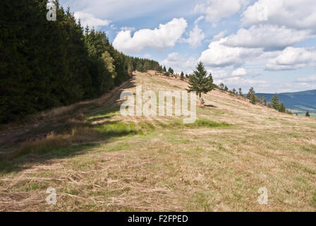 Automne prairie avec arbre isolé et beau ciel avec nuages sur Priekova Skorusinske passent dans les montagnes au-dessus du village Jezioro vrchy Banque D'Images