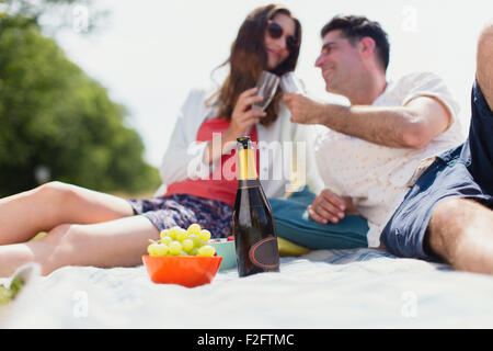 Couple toasting with champagne glasses on picnic blanket Banque D'Images