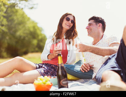 Couple drinking champagne on picnic blanket en champ ensoleillé Banque D'Images