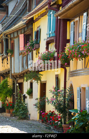 Ruelle avec maisons colorées à colombages ornées de fleurs, Eguisheim, Alsace, France Banque D'Images