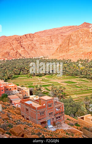 Dans les Gorges de Todra maroc afrique et village Banque D'Images