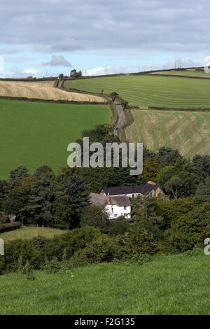 S/N et de chaume cottage dans le matériel roulant et les champs de devon devon près de Dunsford,banques,Teign Valley,Dunsford, automne, teign, Devon, Hill, Banque D'Images