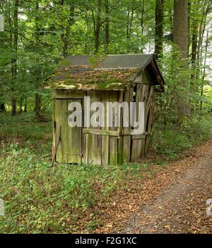 Petit cottage délabré dans une forêt Banque D'Images