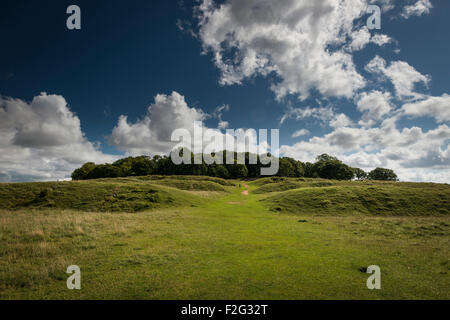 Badbury Rings Âge de Fer de fort près de Blandford Forum, Dorset, UK Banque D'Images