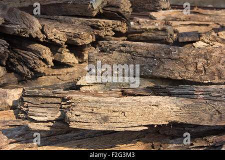 Pile de voie sleeper pile woods Banque D'Images