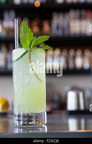 Cocktail de verticale en verre grand avec le concombre et la menthe garnir en bar Banque D'Images