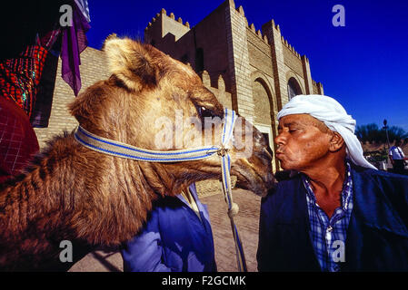 Gestionnaire d'un chameau s'embrasser son chameau à l'extérieur de la grande mosquée de Kairouan. La Tunisie. L'Afrique du Nord Banque D'Images