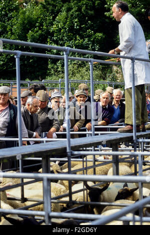 Marché aux moutons de Louth. Le Lincolnshire. L'Angleterre. UK Banque D'Images