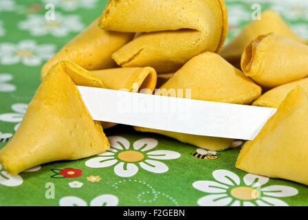 Feuille de papier blanc à Fortune Cookie. Banque D'Images
