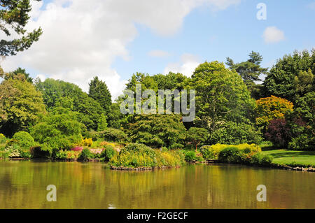 Le Lac à Marwood Hill Gardens, North Devon. Banque D'Images