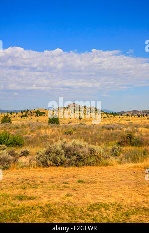 Les plaines d'armoise du Montana, l'État surnommé 'Big Sky Country' pour une raison.... Banque D'Images
