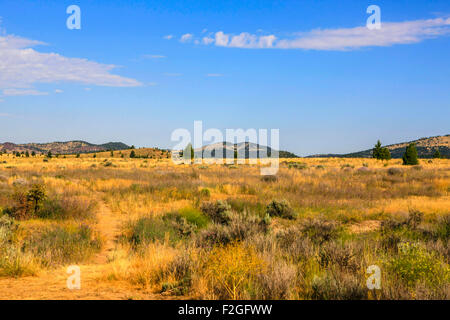 Les plaines d'armoise du Montana, l'État surnommé 'Big Sky Country' pour une raison.... Banque D'Images