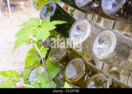 Bouteilles de vin vide dans un rack en bois Banque D'Images