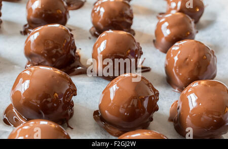 Un favori de Noël, des boules de chocolat au beurre d'arachide. Un mélange de beurre d'arachide, les noix, le sucre et d'autres substance douce et Banque D'Images