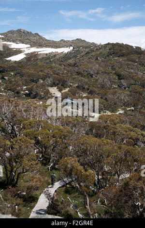 Les passerelles surélevées sur le bushwalker à Charlotte Pass Parc National de Kosciuszko Australie Banque D'Images