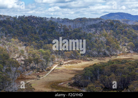 Plateau recouvert de haute montagne avec des buissons, Victoria, Australie Banque D'Images