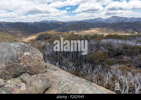 Plateau recouvert de haute montagne avec des buissons, Victoria, Australie Banque D'Images