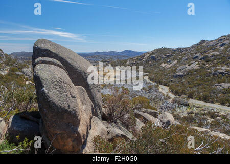 Plateau recouvert de haute montagne avec des buissons, Victoria, Australie Banque D'Images