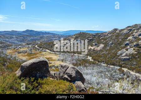 Plateau recouvert de haute montagne avec des buissons, Victoria, Australie Banque D'Images