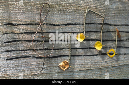 Des notes de musique la conception. Notes de musique en bois et les feuilles Banque D'Images