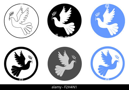 Colombe de la paix avec l'olive branch Banque D'Images