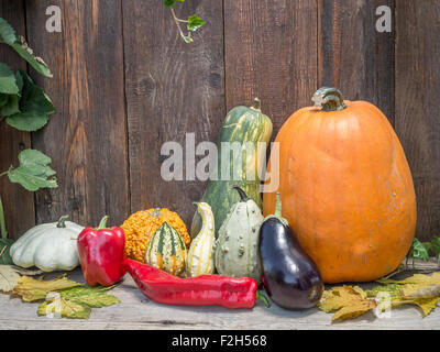 Composition de citrouilles, courges d'été, la courgette, le poivron rouge contre mur de planches en bois rustique Banque D'Images