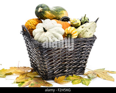 Panier en osier plein de citrouilles et courges d'été sur fond blanc Banque D'Images