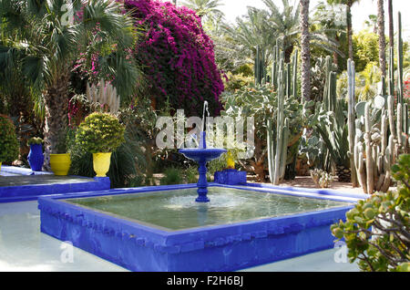 Le carré bleu fontaine dans les jardins Majorelle, Marrakech, Maroc Banque D'Images