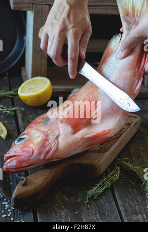 Woman's hands cutting mérou poisson cru sur planche à découper en bois. Avec des tranches de citron, de romarin et saltover cuisine en bois ancien tabl Banque D'Images