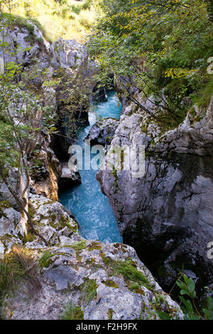 Vue sur la rivière Soca slovène à l'été Banque D'Images