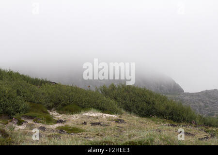 Flux de brouillard sur les roches dans la région de l'Arctique Banque D'Images