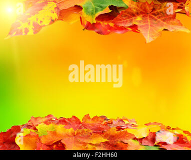 Automne feuille d'automne avec décoration fond copyspace pour votre texte Banque D'Images