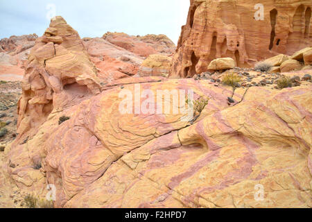 Grès coloré est partout dans la région de Valley of Fire State Park au nord-est de Las Vegas dans le sud-est du Nevada Banque D'Images