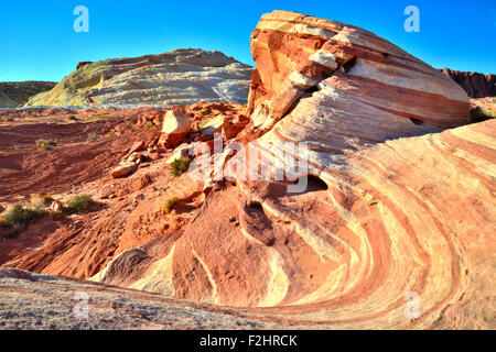 Grès colorés, des formes ondulées et des dunes dans la Vallée de Feu State Park à Southeaster Nevada, 50 miles au nord de Las Vegas Banque D'Images