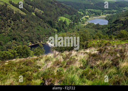 Balade à Glendalough, comté de Wicklow, en Irlande. Au cours de la SPINC chemin avec vue sur la vallée et les lacs. Banque D'Images