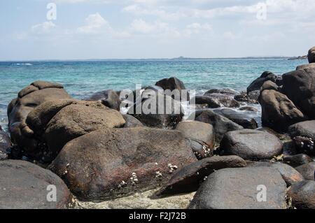 Des pierres sur la plage de l'île Pigeon au Sri Lanka Banque D'Images