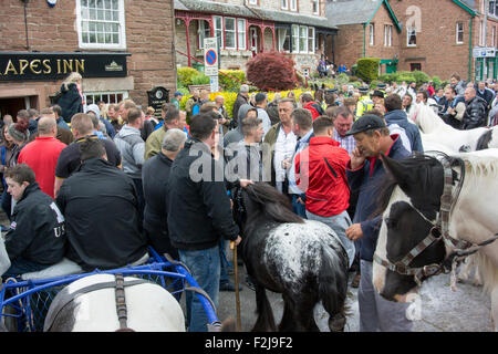 Des scènes de rue à Appleby Horse Fair de Cumbria, où les chevaux sont vendus dans la rue. UK Banque D'Images