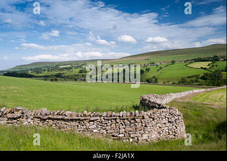 Les terres agricoles et les murs de pierres sèches dans la région de Coverdale, près de Leyburn, North Yorkshire, UK. Banque D'Images