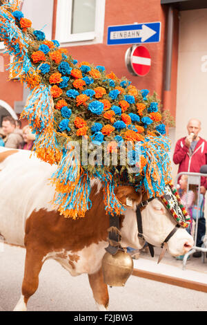 Kufstein / Autriche / Tyrol-19.Septembre : vache décorée de bétail dans la région de Kufstein / Autriche Banque D'Images