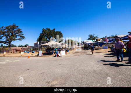 Laughton Ranch en Californie qui ont commencé un Jackson animal rescue pour les victimes de l'incendie de Butte en Californie Banque D'Images