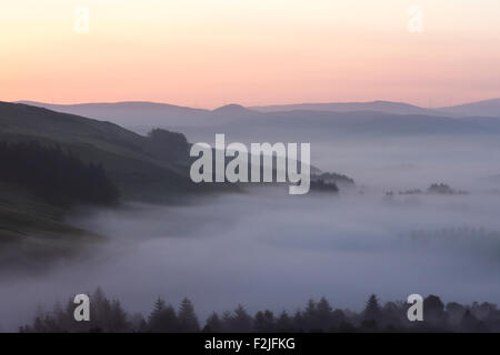 L'aube sur les monts Cambriens d'une couverture de brouillard dans les vallées, Ceredigion Pays de Galles UK Banque D'Images