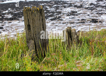 Bateaux abandonnés à Purton ship cimetière sur la rive de la rivière Severn où les bateaux ont été sous-évaluées entre 1909 et les années 1970 dans un Banque D'Images