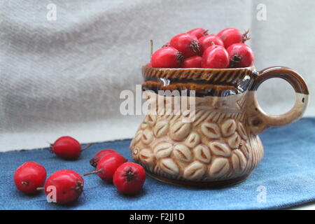 Rouge mûre juteuse hawthorn berries in clay brown cup Banque D'Images