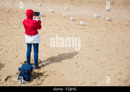 Une femme à prendre des photos de mouette sur son Ipad tablet à Villers -Sur-Mer le nord de la France Banque D'Images