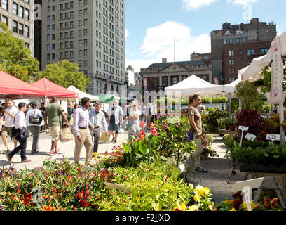 Une variété de plantes à vendre à l'Union Square Market vente de produits agricoles à Manhattan, New York City, New York State, USA Banque D'Images