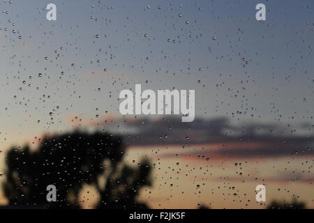 Gouttes de pluie sur une fenêtre avec un arbre et coucher de soleil dans l'arrière-plan Banque D'Images